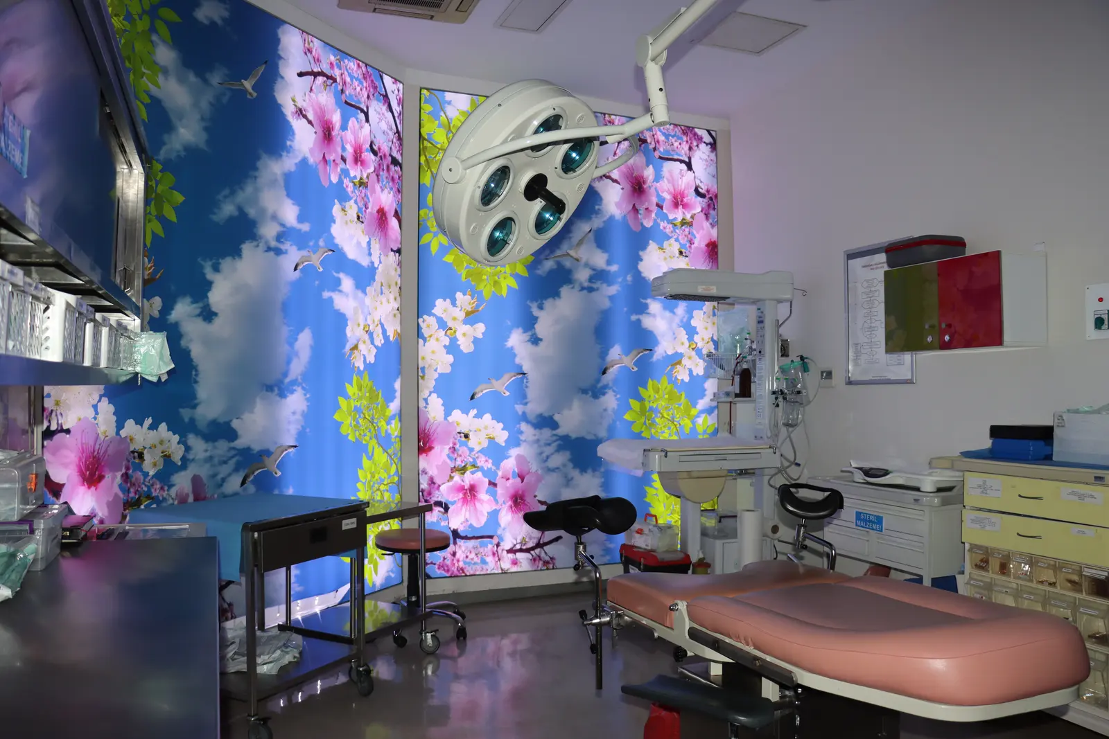 Private Ekol Hospital