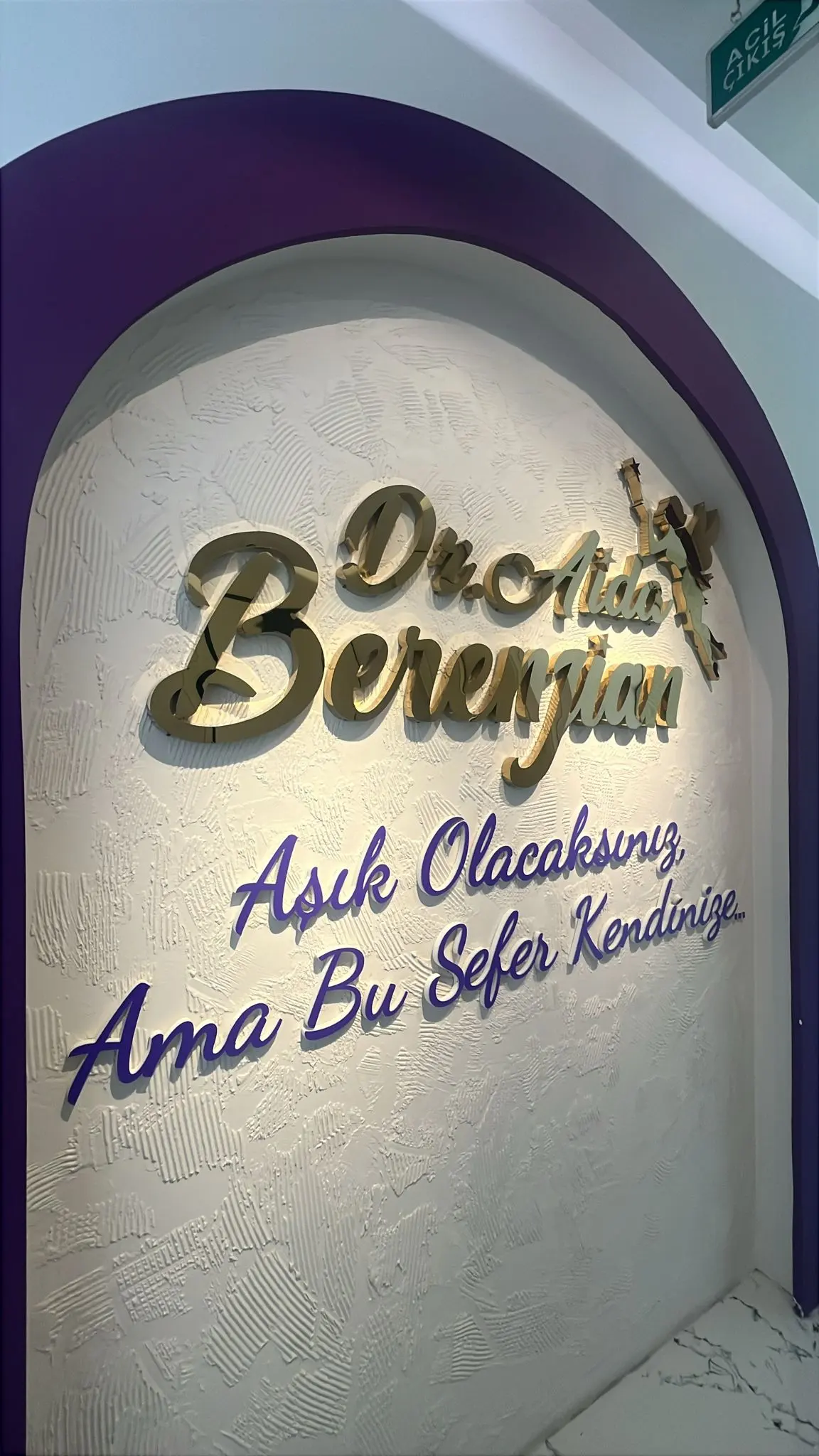 Aida Berenjian