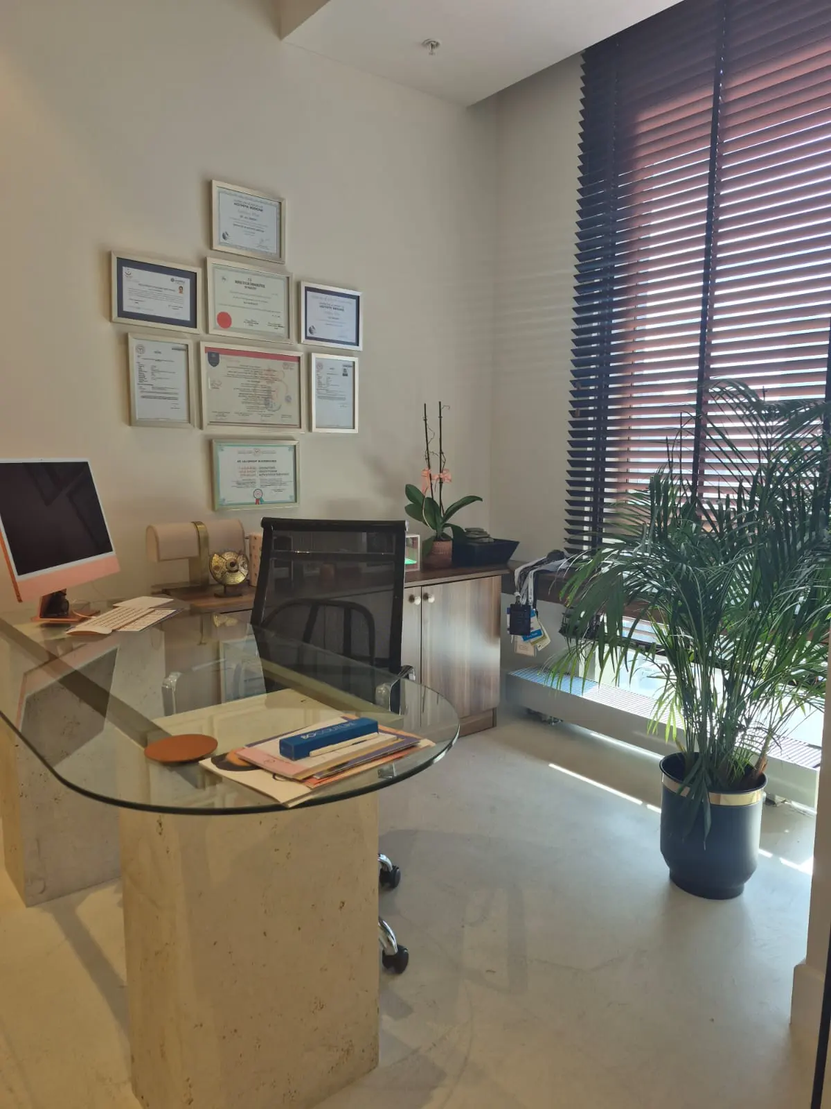 Dr Aslı Birkent