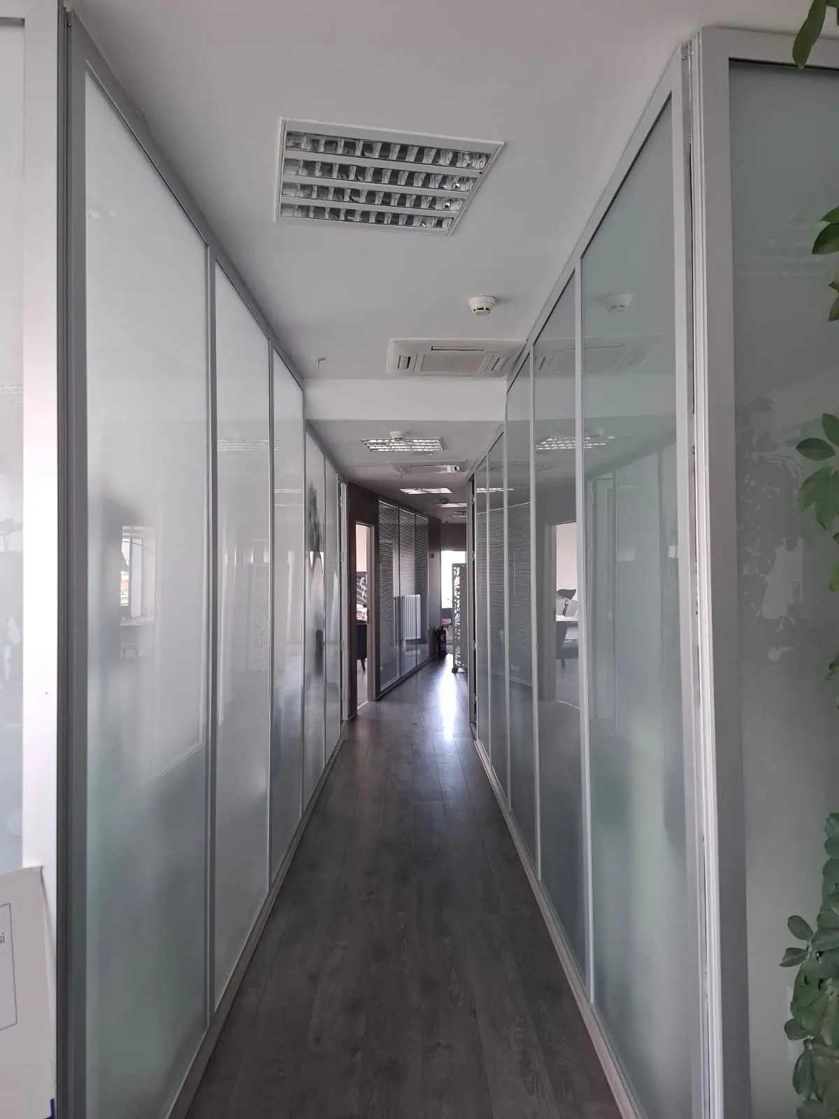 Rhinoplasty-Prof. Dr. Birol Civelek