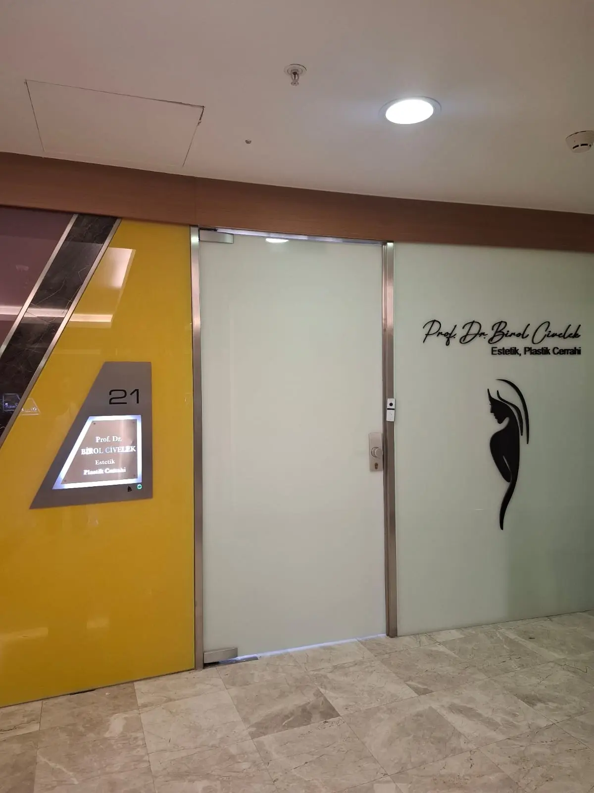 Rhinoplasty-Prof. Dr. Birol Civelek