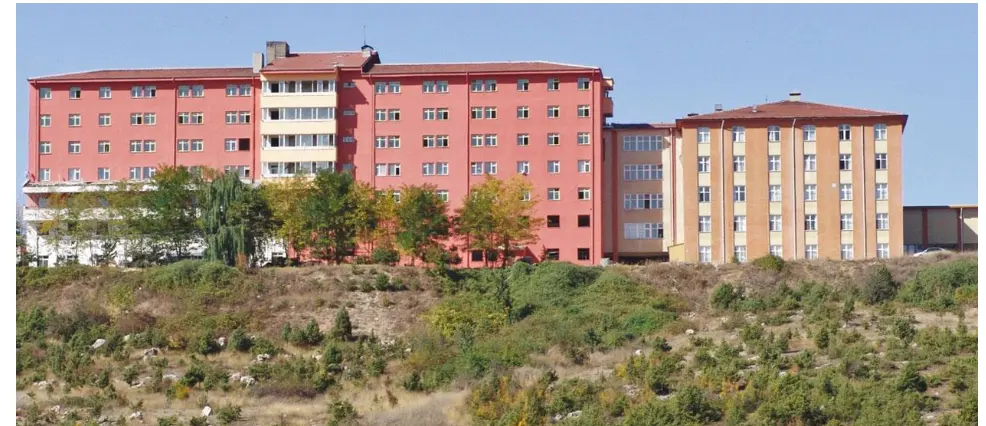 Bolu Izzet Baysal State Hospital Köroğlu Unit