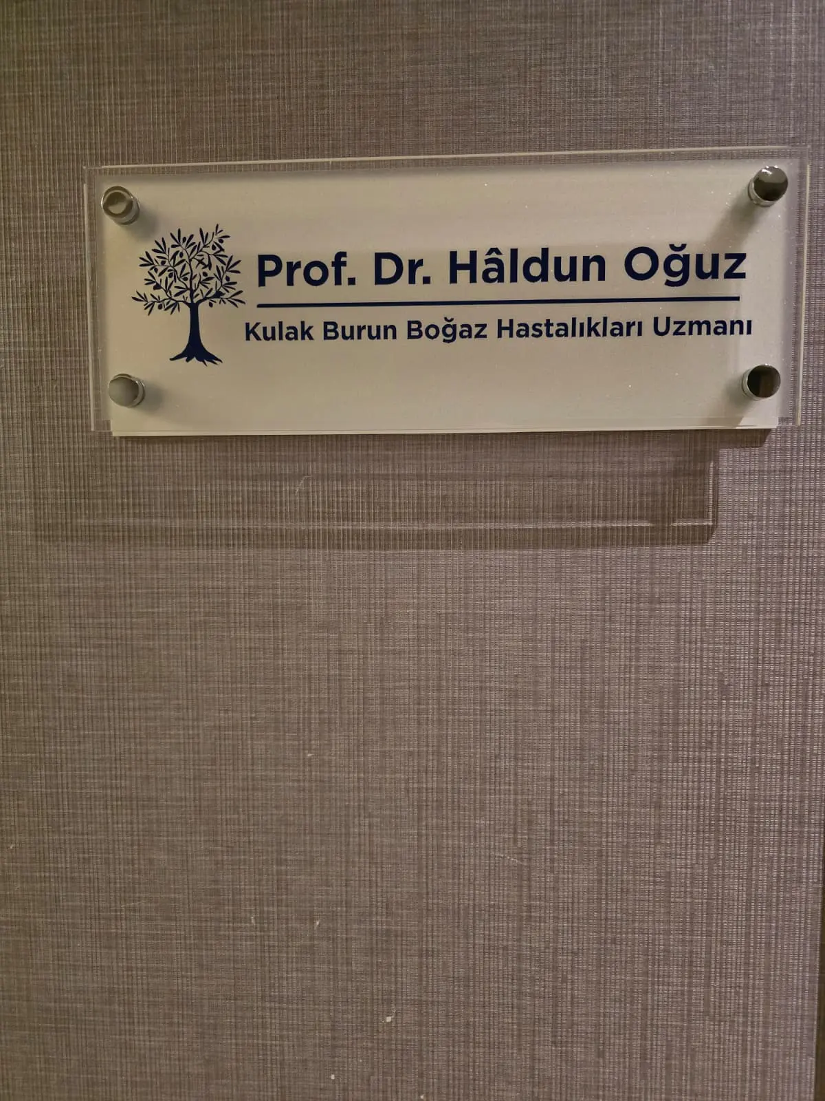 Prof.Dr. Haldun OĞUZ