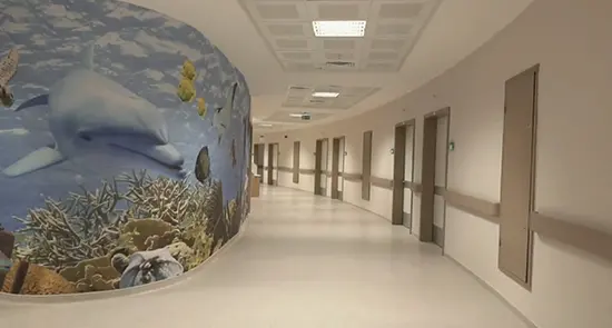Izmir Turkan Ozilhan Bornova Devlet Hastanesi