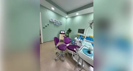 Dr Pinar Demir