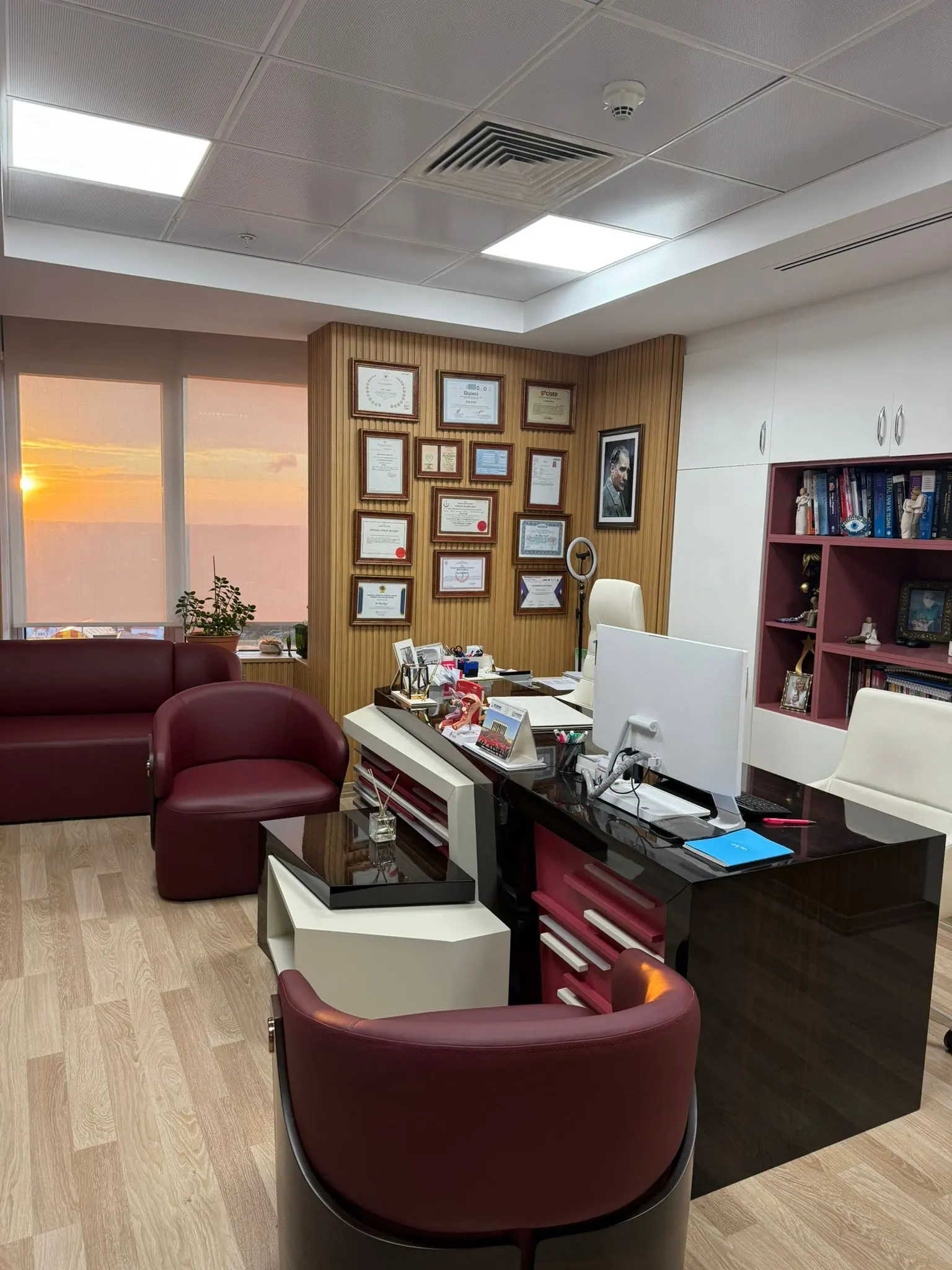 Op. Dr. İrina Ergül Muayenehanesi