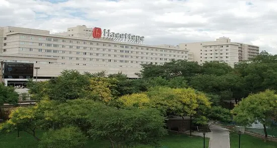 Hacettepe üniversitesi erişkin hastanesi