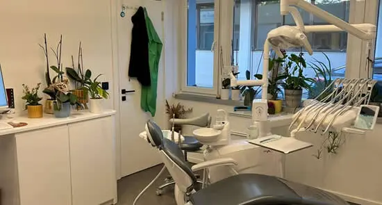 Özel Klinik 29 Ağız Ve Diş Sağlığı Polikliniği