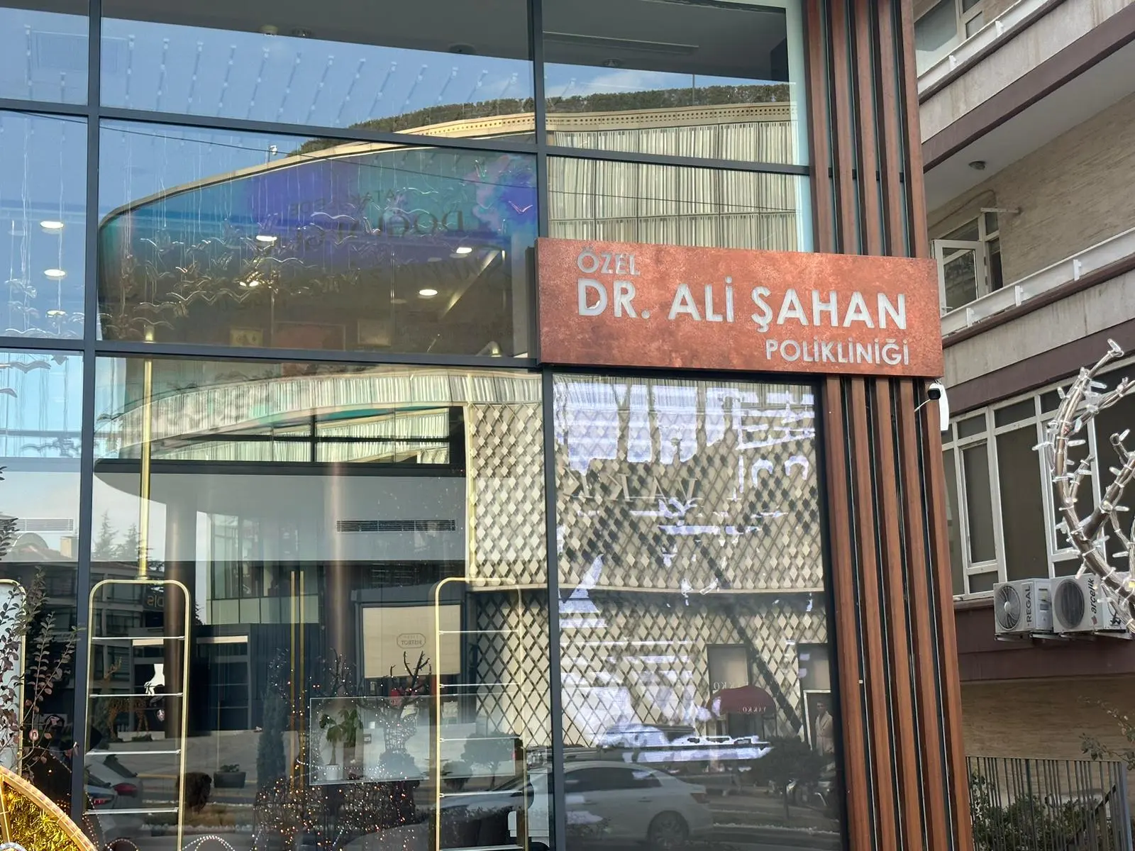 Dr Ali ŞAHAN