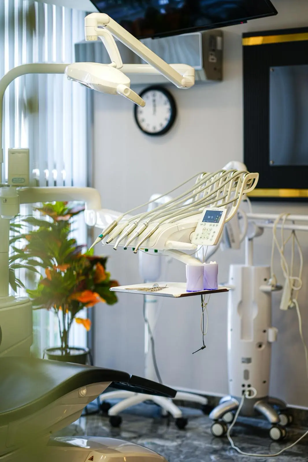 DENTAL DENTIST DENTIST Marmaris Serkan ÇELEBİ