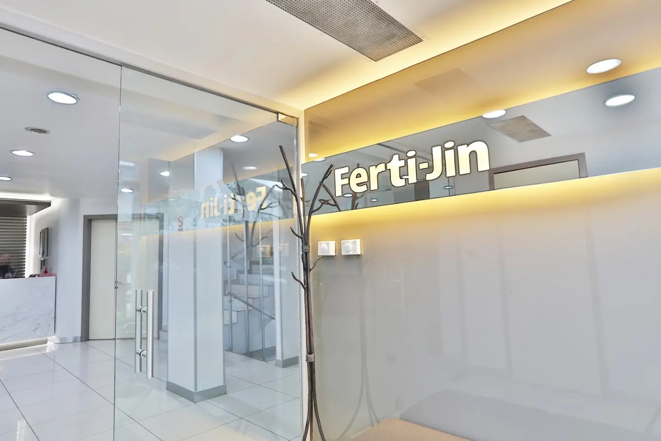 Ferte-Jin Women's Health and IVF Center