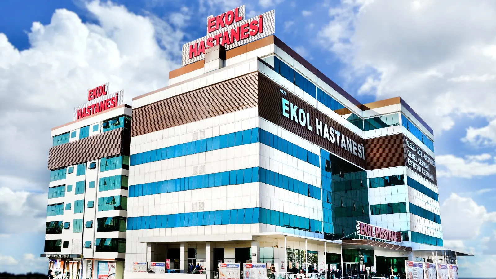 Ekol Kulak Burun Boğaz