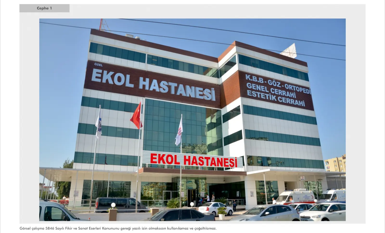 Ekol Kulak Burun Boğaz