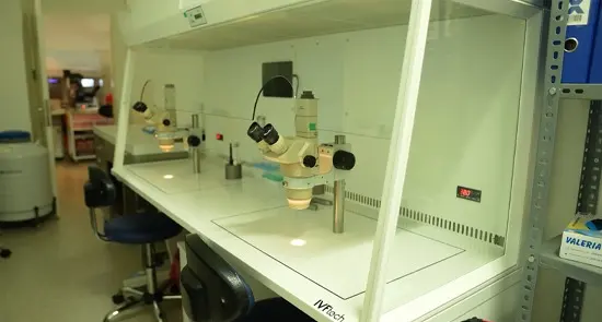 Özel Tavmergen IVF Clinic İnfertilite ve Tüp Bebek Merkezi