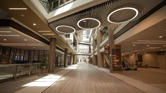 Başakşehir Çam and Sakura City Hospital