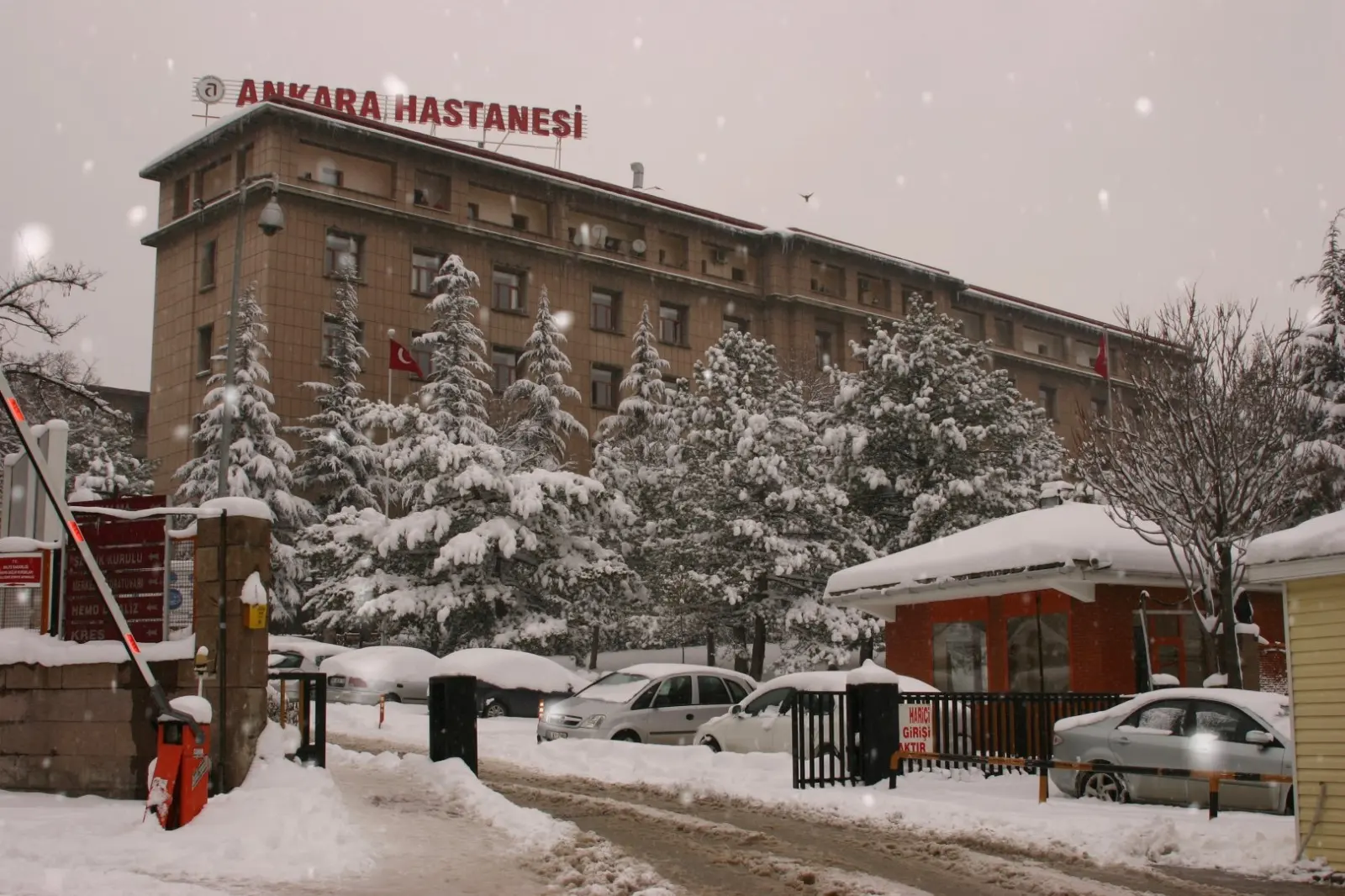 T.C. Sağlık Bakanlığı SBÜ Ankara Eğitim ve Araştırma Hastanesi