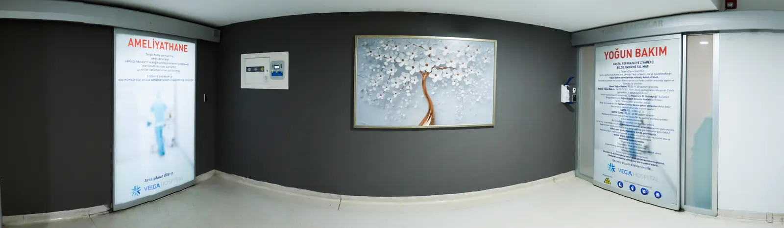 Vega Hospital