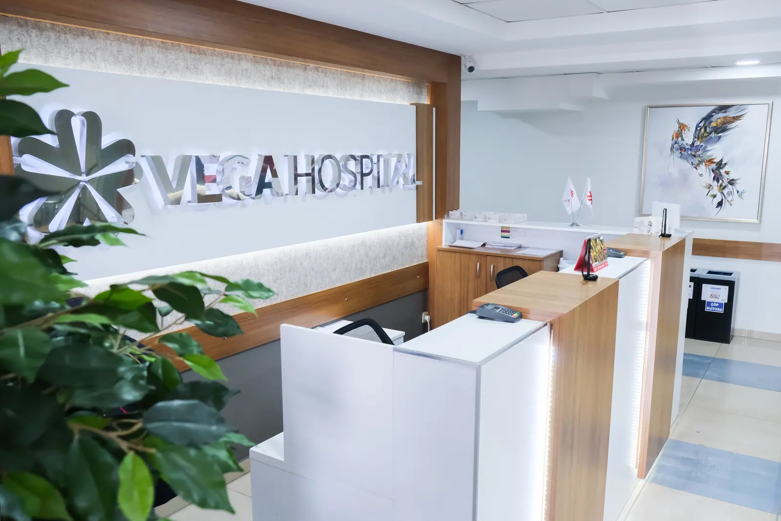 Vega Hospital
