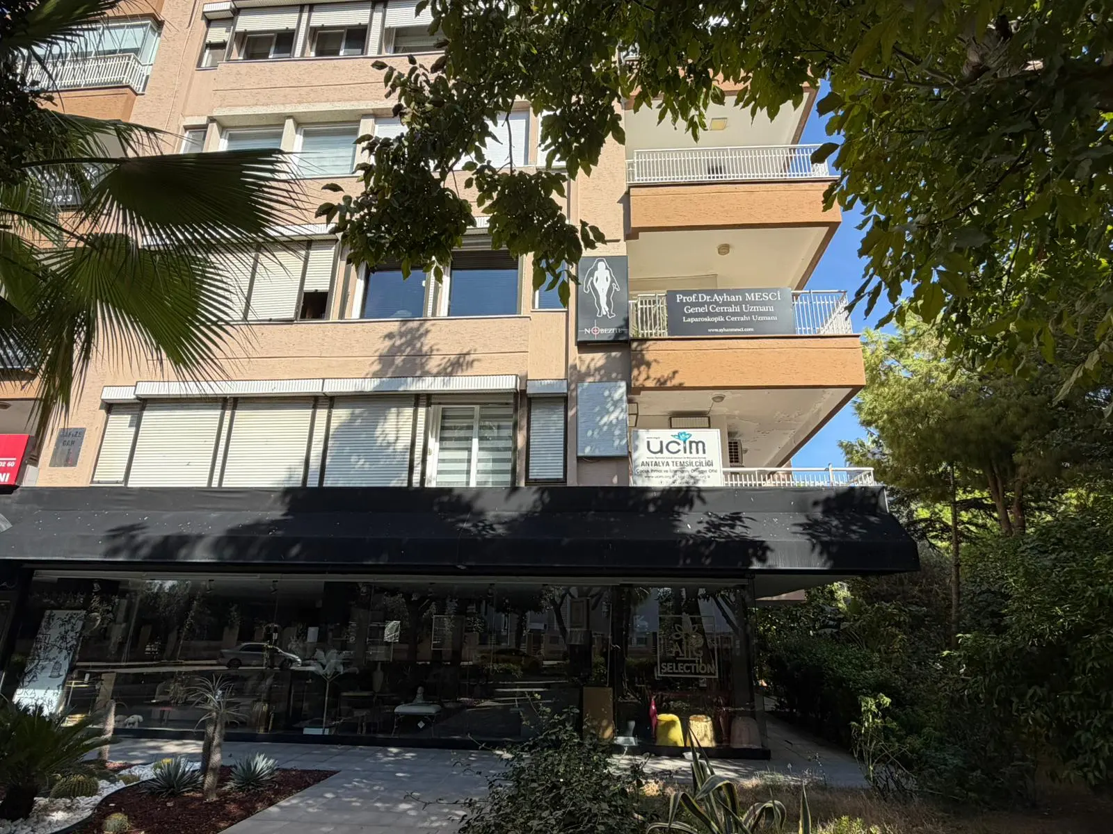 Prof. Dr. Ayhan Mesci Genel Cerrahi Uzmanı