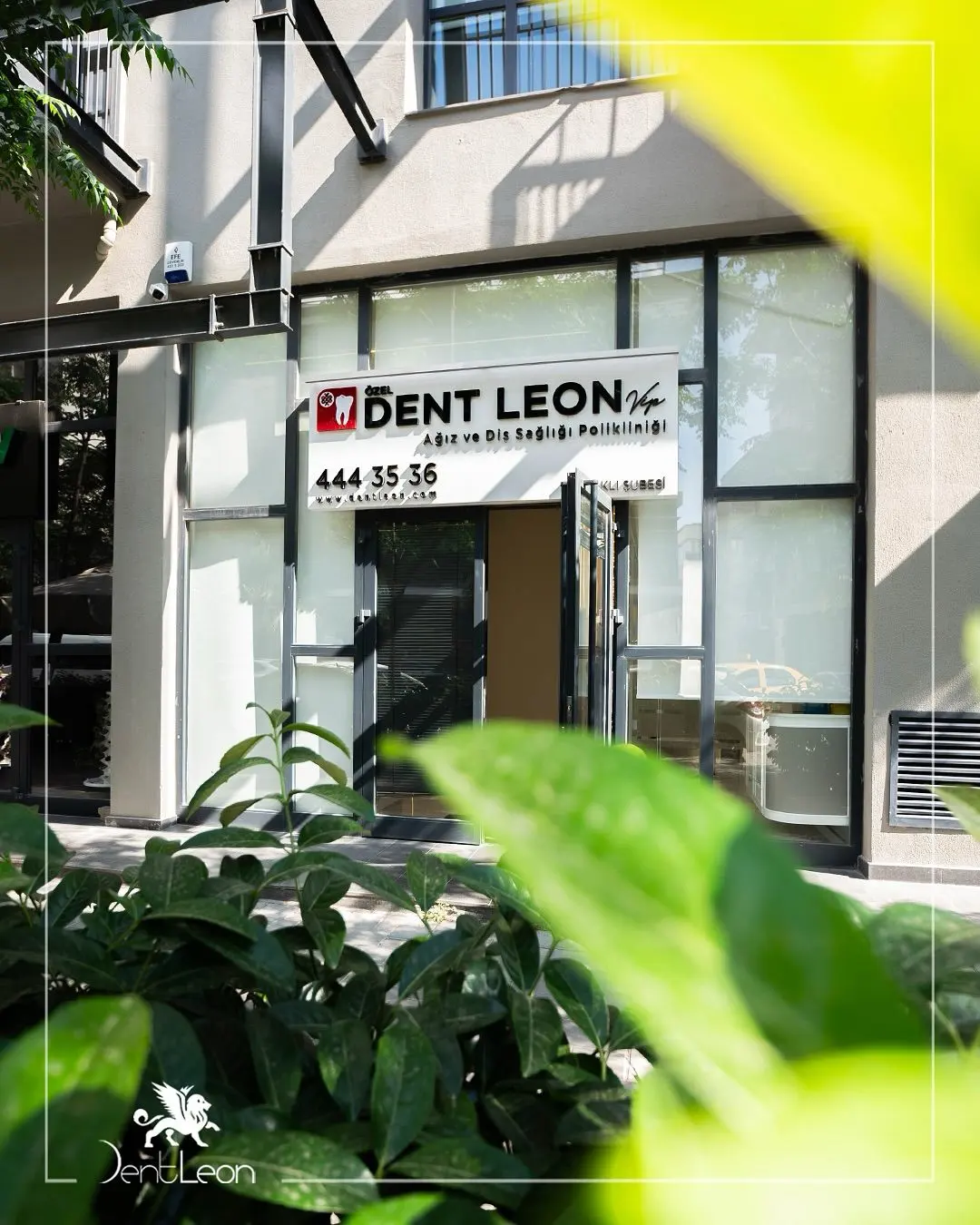 Dent Leon Vip Ağız ve Diş Sağlığı Polikliniği Bayraklı Şubesi