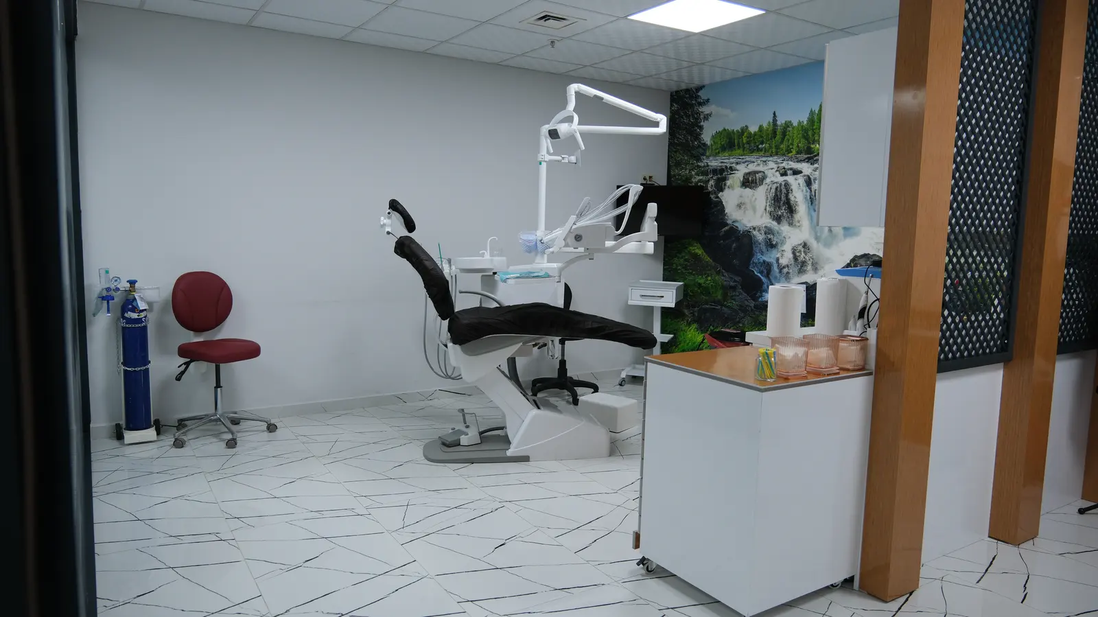 Attelia Oral and Dental Health Center